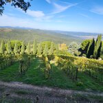 Photo taken by ELIZABETH S