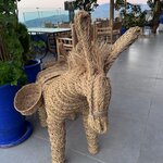 Photo taken by Tony F