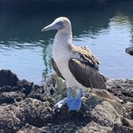 Photo taken by Sharon J