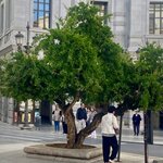 Photo taken by Gary G