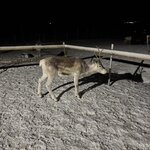 Photo taken by Jennifer M