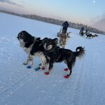 Photo taken by Jennifer D