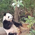 Photo taken by marianne d