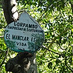 Photo taken by Janice B