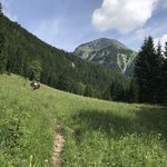 Photo taken by Kelly W