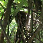 Photo taken by James W