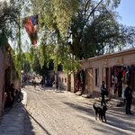 Photo taken by Carmen P