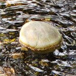 Photo taken by Jose R