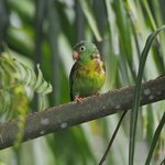 Photo taken by Dawne D