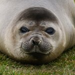 Photo taken by Eric T