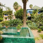 Photo taken by Diana G