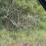 Photo taken by Jeanine B