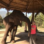 Meeting an elephant | Photo taken by Bonnie S