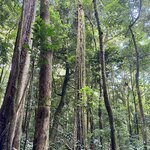 Photo taken by Lauren A