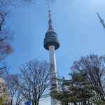 Photo taken by Mark C