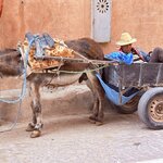 Photo taken by Patricia O