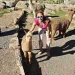 Photo taken by Mariah M