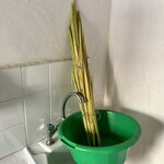 Photo taken by Jim M