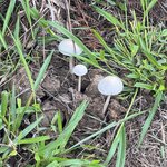 Photo taken by Thomas L