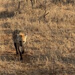 Photo taken by Catie S. C