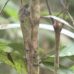 Photo taken by Anna L