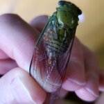 Photo taken by Garritt V