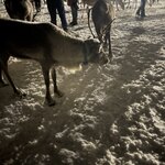 Photo taken by Amy H