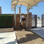 Photo taken by WILLIAM B