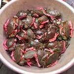 Photo taken by Kim C