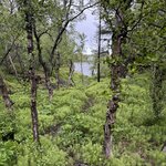 Photo taken by Dawn S