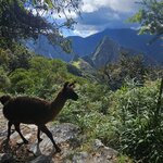 Photo taken by Mariah M