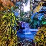 Photo taken by Brett F