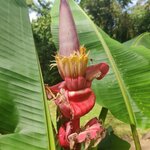 Photo taken by Dawne D