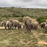 Photo taken by Martin D