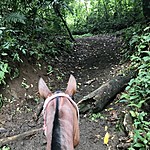 Photo taken by Michelle D