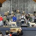 Photo taken by Erin C