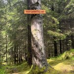 Photo taken by Grace S