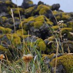 Photo taken by Scott C