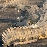 Photo taken by Paul B