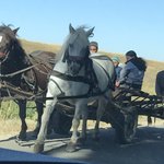 Horse and cart with farmer, a common sight in Transylvania  | Photo taken by Anne L