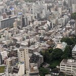 Photo taken by PADMABEN P