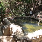 Photo taken by Pat K