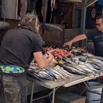 Photo taken by Colleen B