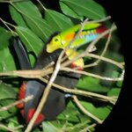 Photo taken by Lisa R