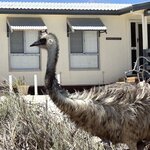 Photo taken by Amy Z