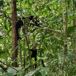 Photo taken by Touraj K