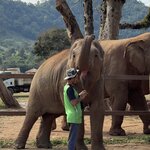 Photo taken by Megan H