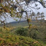 Photo taken by Brett F