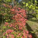 Photo taken by Caz J