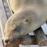 Photo taken by Sharon J